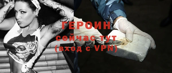 индика Богданович