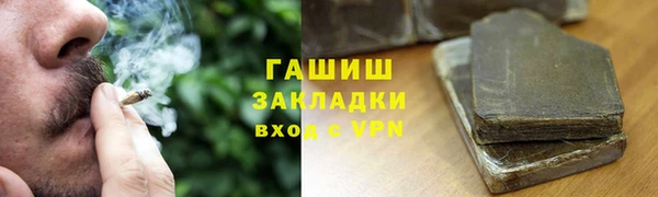 индика Богданович