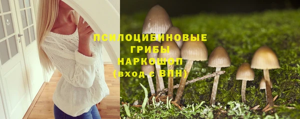 твердый Струнино