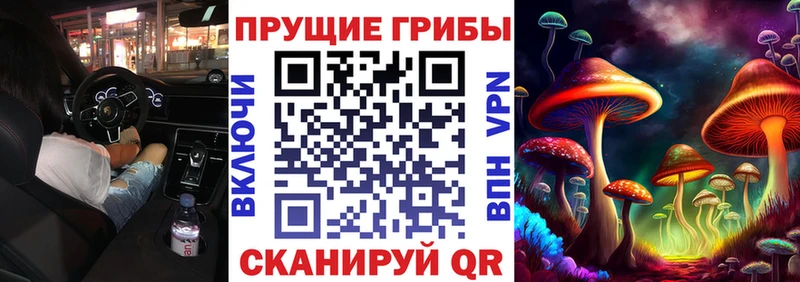 Купить  Пошехонье  Псилоцибиновые грибы Magic Shrooms 