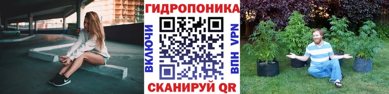 Каннабис индика Пошехонье