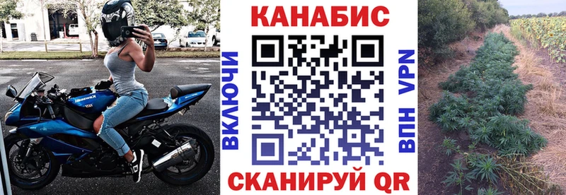 Бошки Шишки конопля  Купить закладки  Пошехонье 